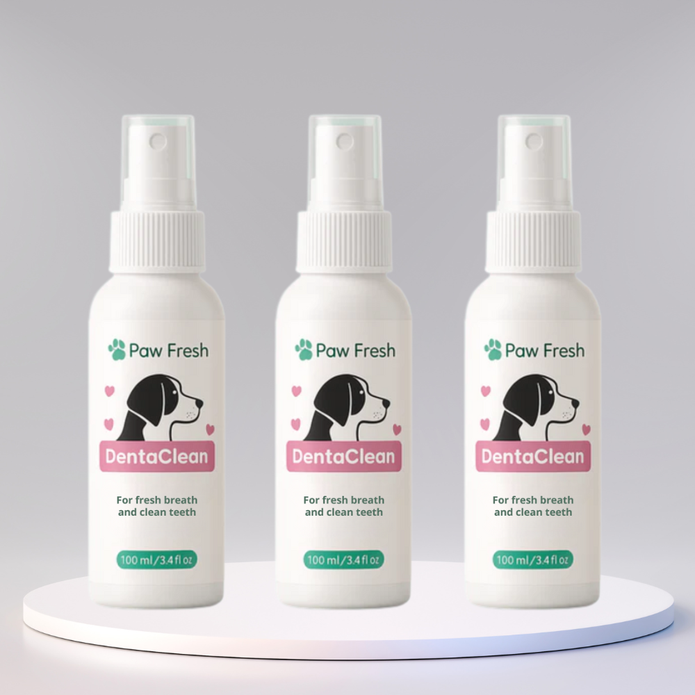 DentaClean™
