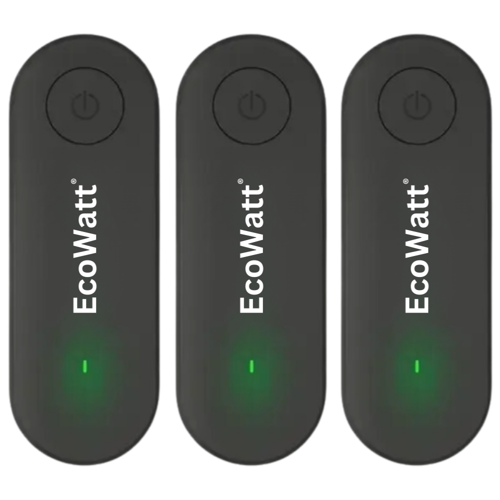 P: EcoWatt®