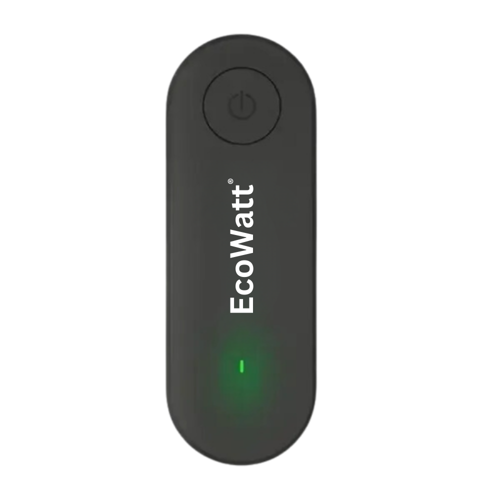 P: EcoWatt®