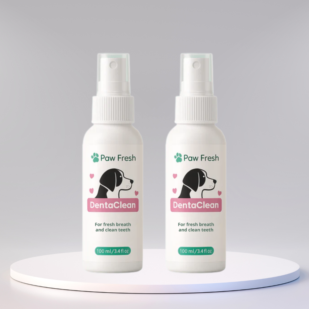 DentaClean™