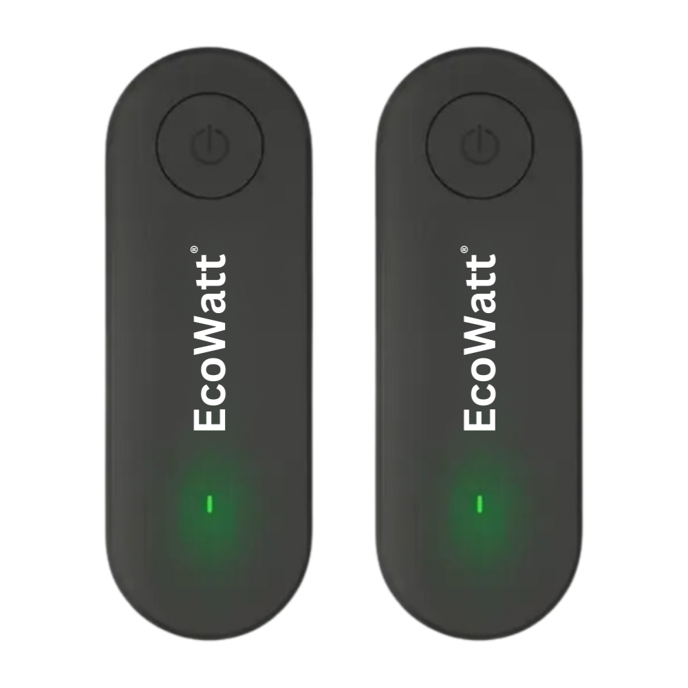 P: EcoWatt®